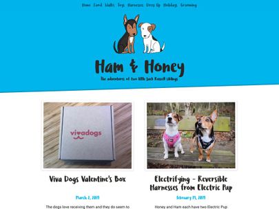 Screenshot of https://www.hamandhoney.com